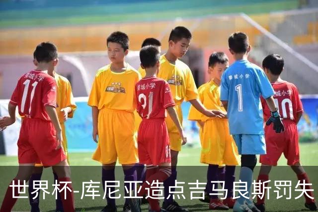 世界杯-库尼亚造点吉马良斯罚失 巴西半场暂0-0挪威