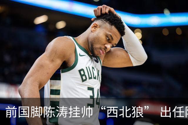 前国脚陈涛挂帅“西北狼” 出任陕西联合一线队主教练