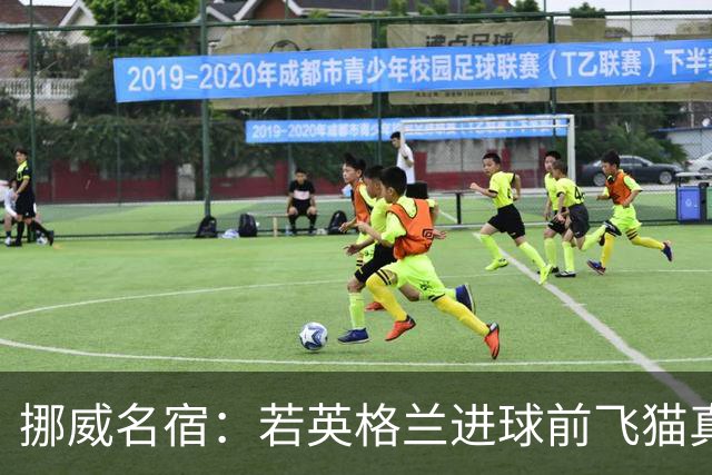 挪威名宿：若英格兰进球前飞猫真阻挡了皮球那理应坠球，太憋屈了