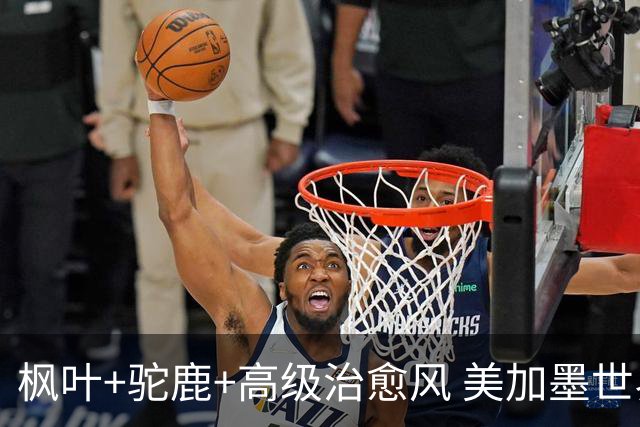 枫叶+驼鹿+高级治愈风 美加墨世界杯加拿大赛区开幕