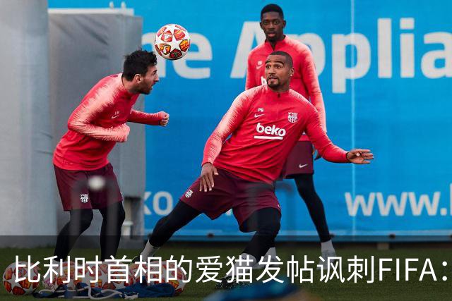 比利时首相的爱猫发帖讽刺FIFA：“红牌？”我照样继续踢！