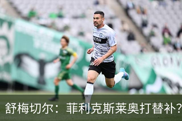 舒梅切尔：菲利克斯莱奥打替补？马丁内斯毁了比利时又来毁葡萄牙
