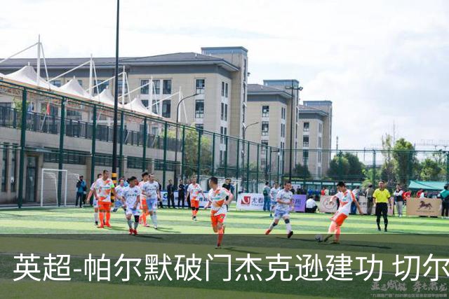 英超-帕尔默破门杰克逊建功 切尔西2-1纽卡斯尔