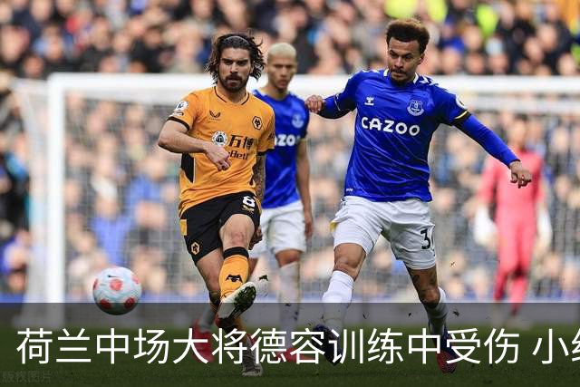 荷兰中场大将德容训练中受伤 小组赛次轮出战成疑