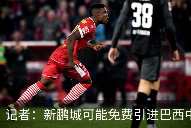 记者：新鹏城可能免费引进巴西中卫泽维尔，本科维奇会被放弃