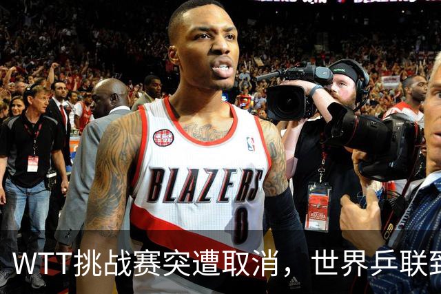 WTT挑战赛突遭取消，世界乒联致歉，索林表达深切无奈